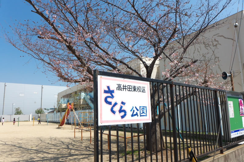2015年　さくら公園の桜-№1