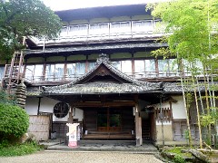 kiku01 kiku01