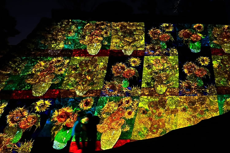 高知城の石垣に投影されたひまわり