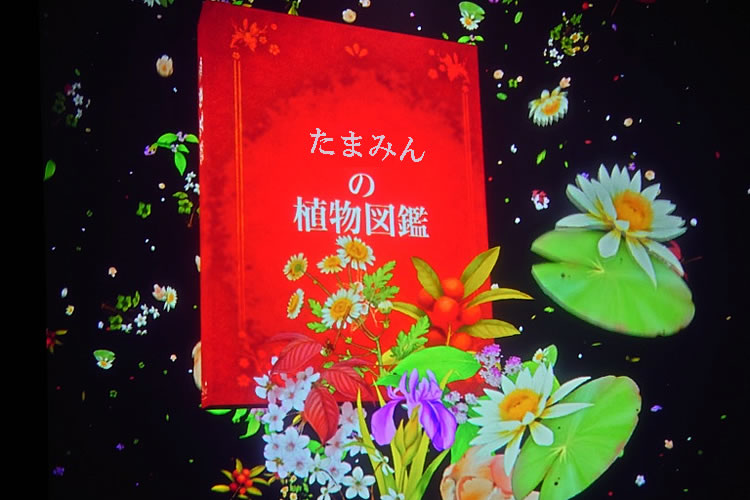 大型モニターに映し出されたオリジナル図鑑