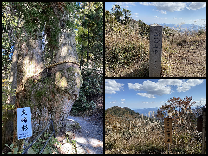 玉置神社の夫婦杉と玉置山の山頂の写真
