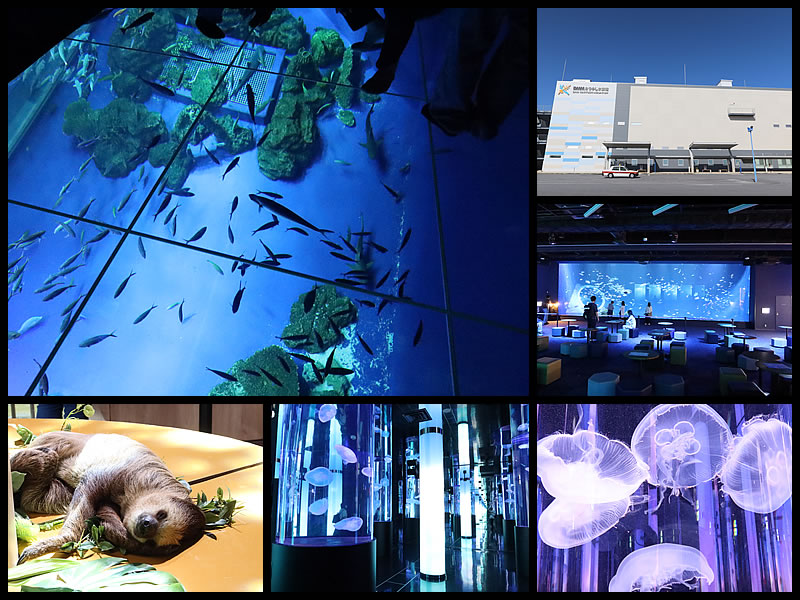 DMMかりゆし水族館