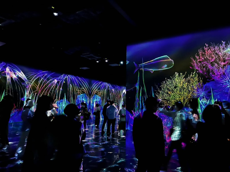 チームラボフォレスト福岡