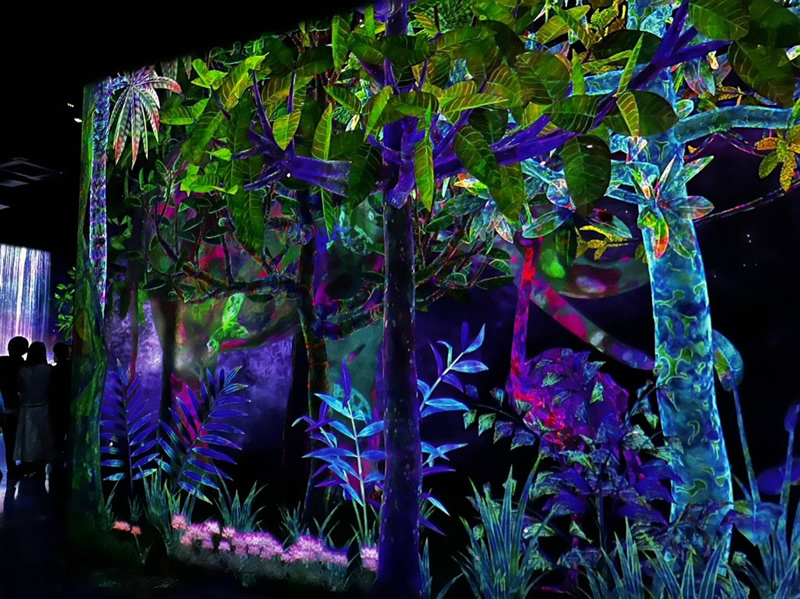 チームラボフォレスト福岡