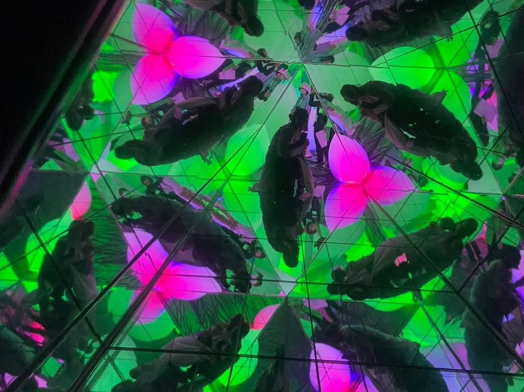 チームラボフォレスト福岡