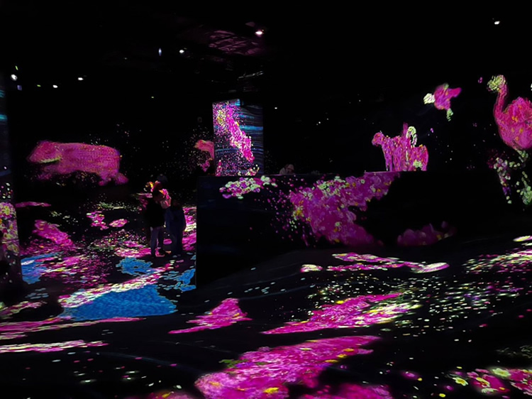 チームラボフォレスト福岡