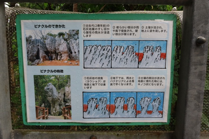 ピナクルのできかた