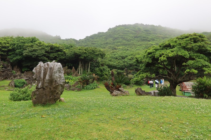 精気小屋からの風景