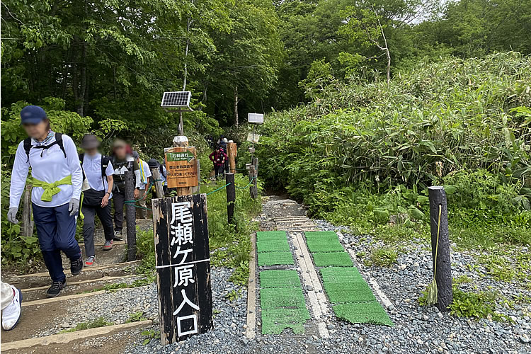 尾瀬トレッキングに行ってきました！