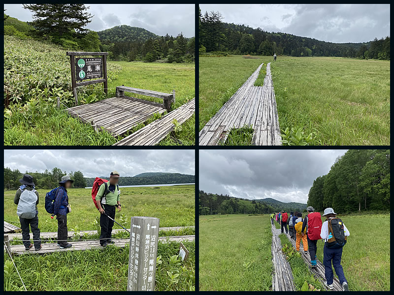 尾瀬のトレッキングの様子