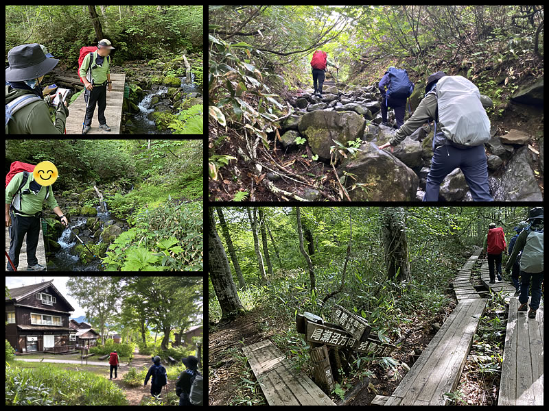 尾瀬のトレッキングの様子