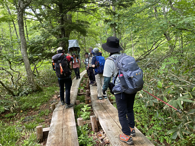 尾瀬の歩荷 マー君