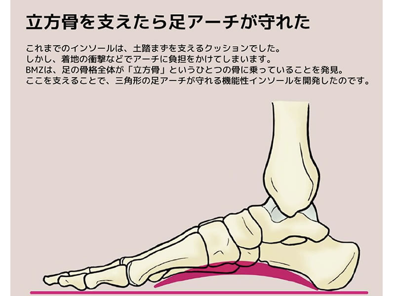 立方骨 足アーチ