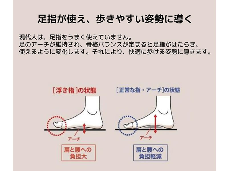 立方骨 足アーチ 姿勢