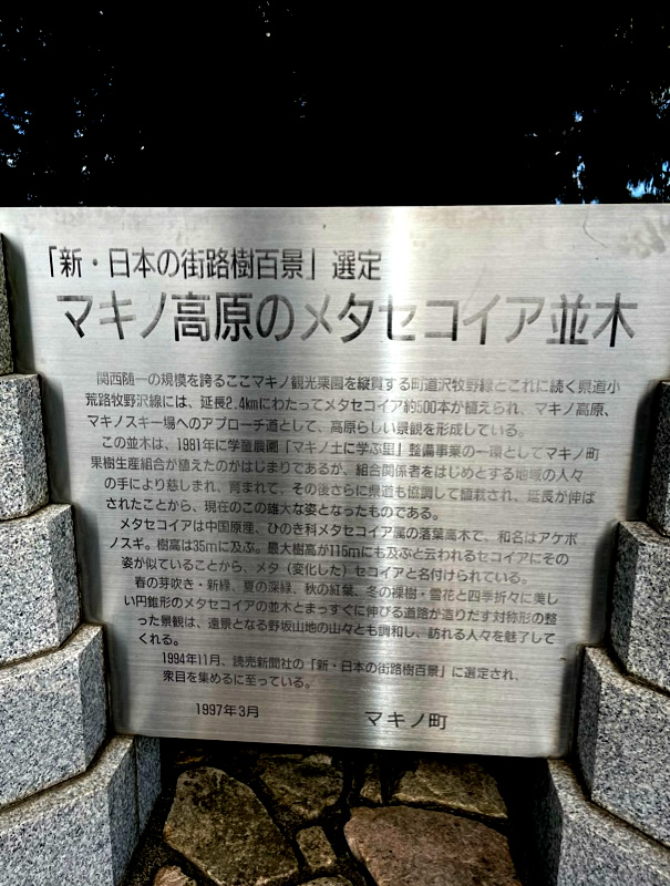 メタセコイア並木
新・日本街路樹百景
マキノピックランド