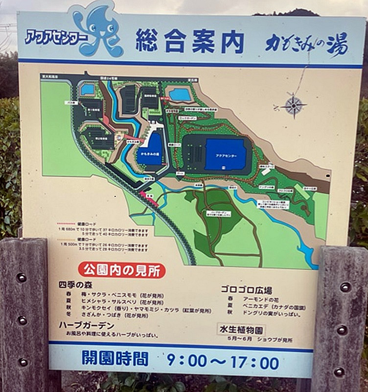 アクアセンター ゴロゴロ広場 かもきみの湯