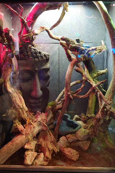 奈良市のミ・ナーラの奈良いきものミュージアム