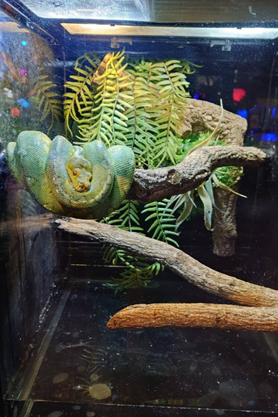 奈良市のミ・ナーラの奈良いきものミュージアム