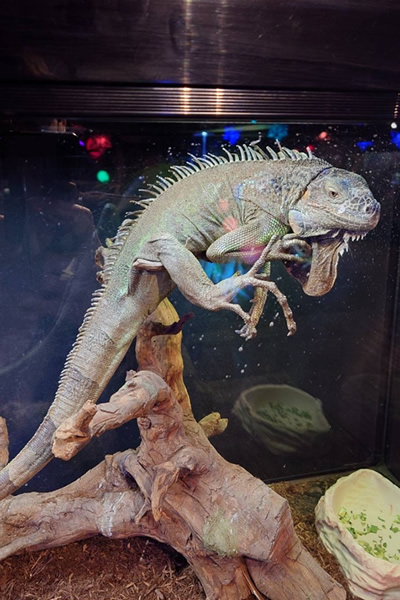 奈良市のミ・ナーラの奈良いきものミュージアム