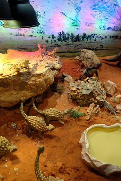 奈良市のミ・ナーラの奈良いきものミュージアム