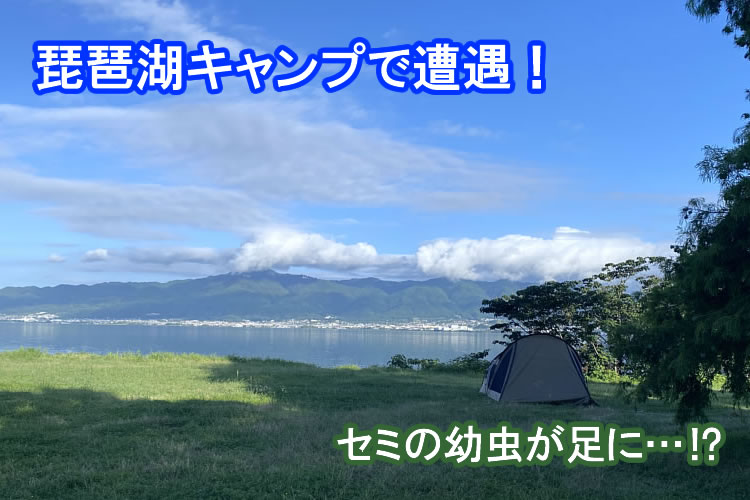 琵琶湖キャンプで幻想的なセミの羽化に立ち会いました！