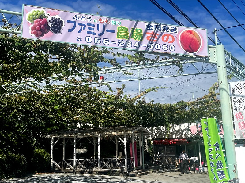 山梨県 フルーツ王国 ブドウ狩り シャインマスカット狩り もも狩り ファミリー農場さの