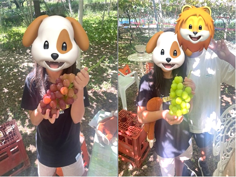 山梨県 フルーツ王国 ブドウ狩り シャインマスカット狩り もも狩り ファミリー農場さの