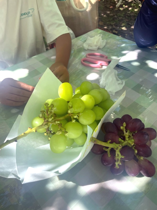 山梨県 フルーツ王国 ブドウ狩り シャインマスカット狩り もも狩り ファミリー農場さの