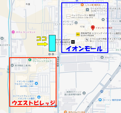 ワンダーリンクでアイススケート
