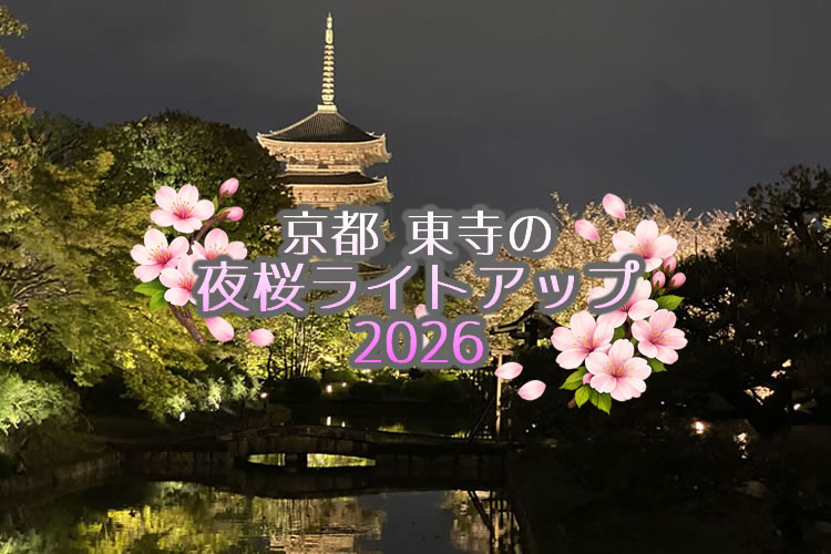 京都『東寺』の幻想的な夜桜ライトアップに行ってきました