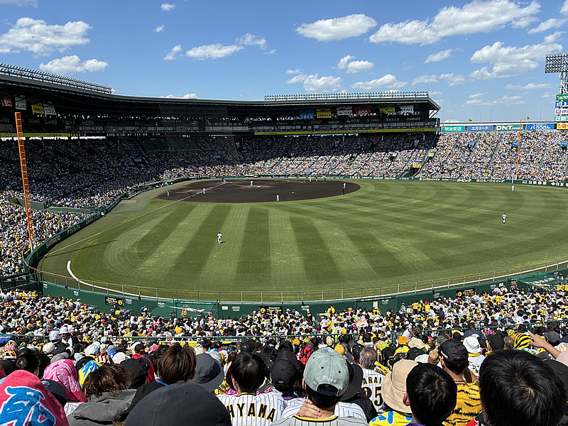 阪神甲子園球場 ライト外野席   阪神タイガース応援団が近く人気エリア
