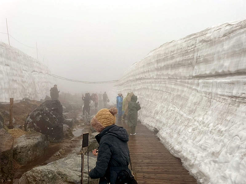 立山黒部アルペンルート 立山ケーブルカー 雪の大谷 室堂 大観峰 雪の回廊 黒部平 立山ロープウェイ 黒部ダム 緑翠亭景水 富山県旅行 長野県旅行