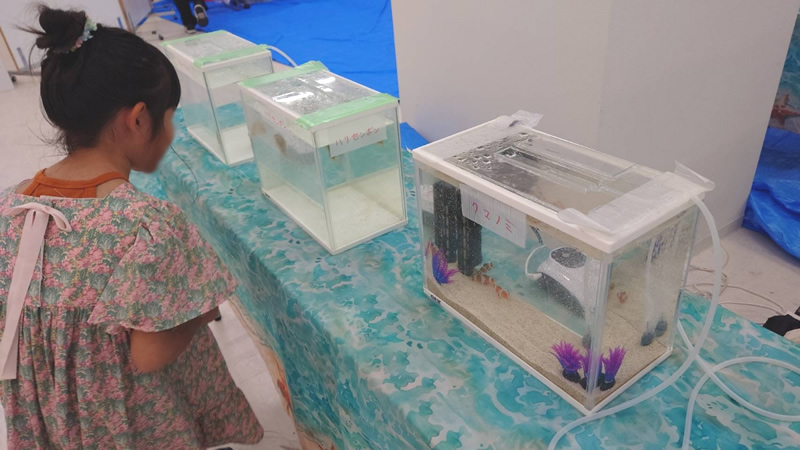 登美ヶ丘イオンモールにて「海の浅瀬のいきもの道場」のイベント
