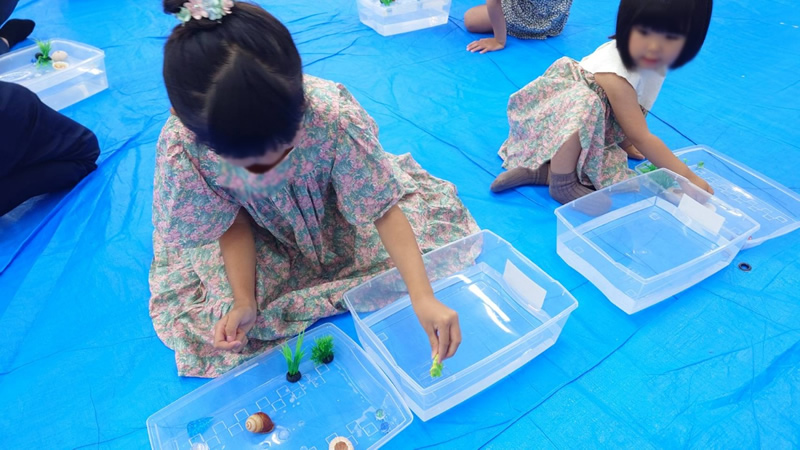登美ヶ丘イオンモールにて「海の浅瀬のいきもの道場」のイベント サワガニを触れる