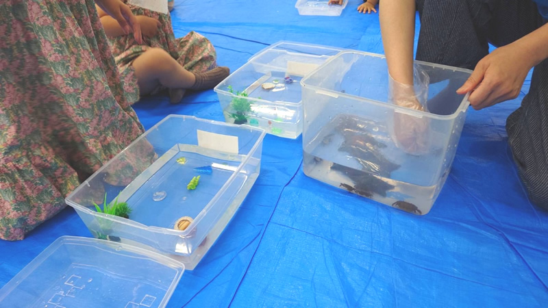 登美ヶ丘イオンモールにて「海の浅瀬のいきもの道場」のイベント サワガニを触れる