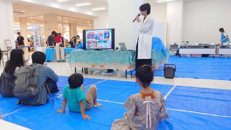登美ヶ丘イオンモールにて「海の浅瀬のいきもの道場」のイベント
