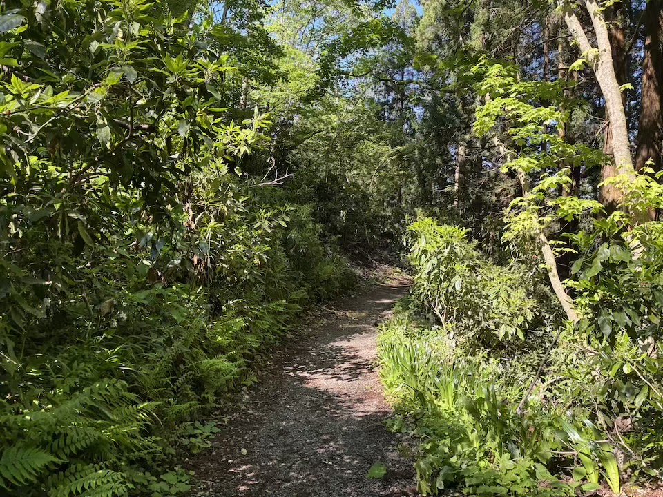 4号路