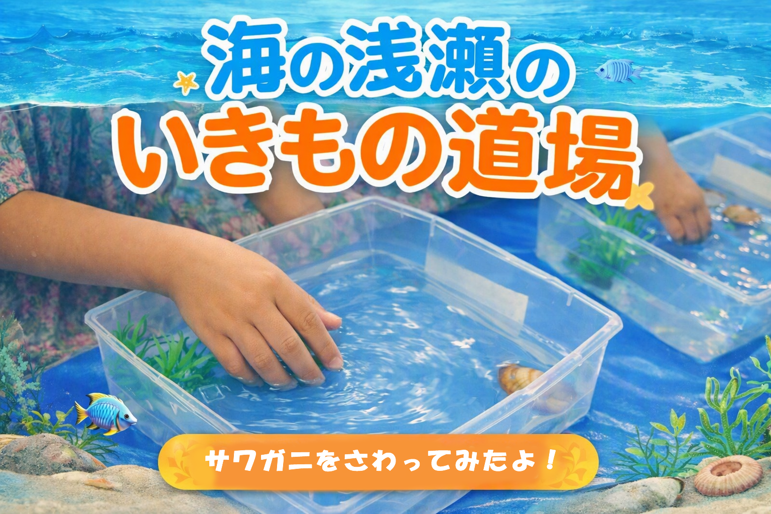 「海の浅瀬のいきもの道場」でいきもの達と触れ合ってきました