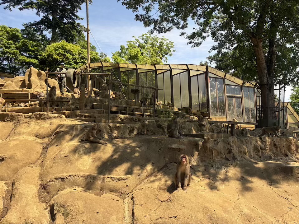 飼育員さんの説明