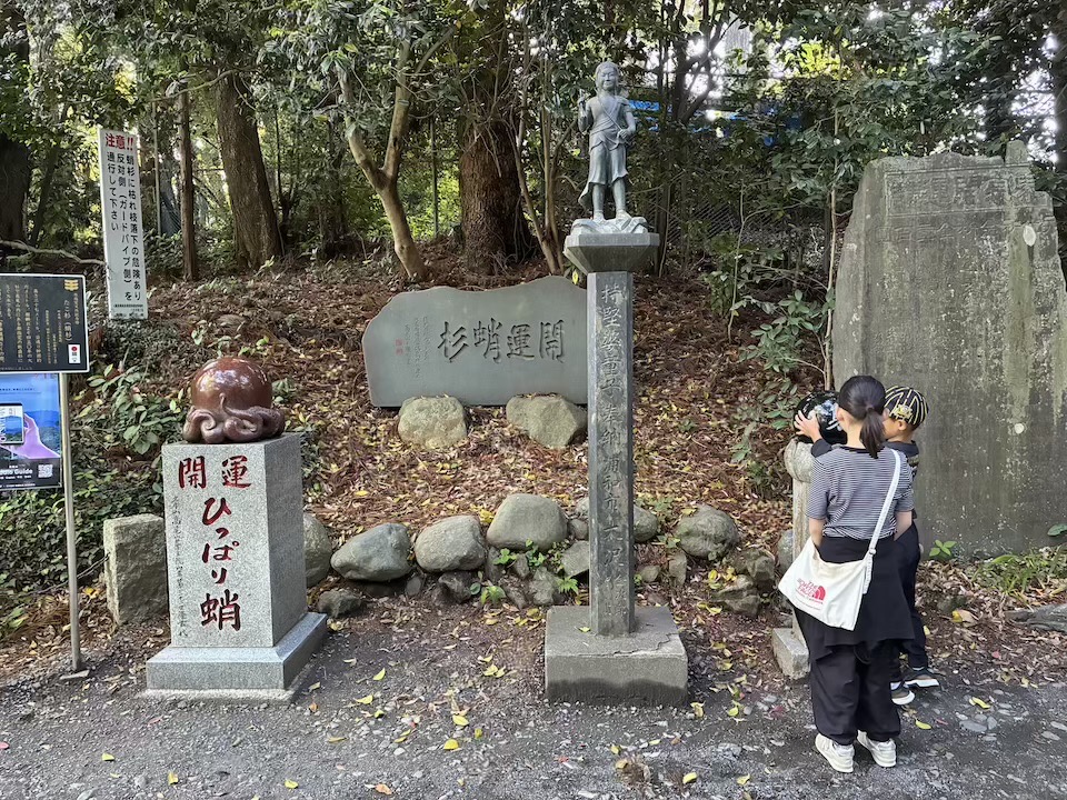 1号路　たこ杉