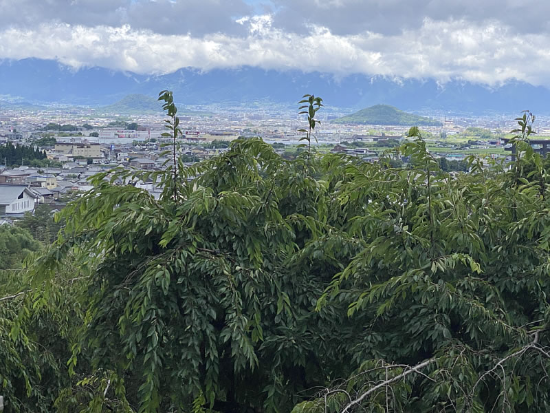 大神神社からの景色の画像