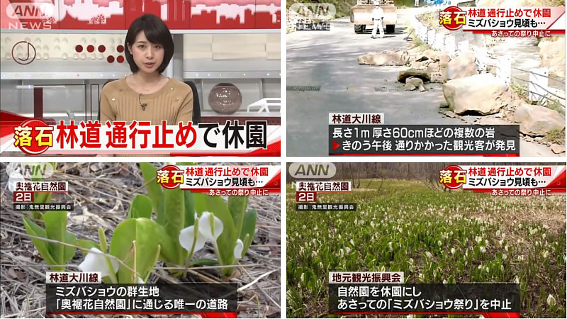 水芭蕉まつりが中止で戸隠そば