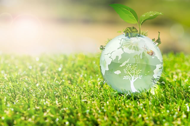ecology-2.jpg