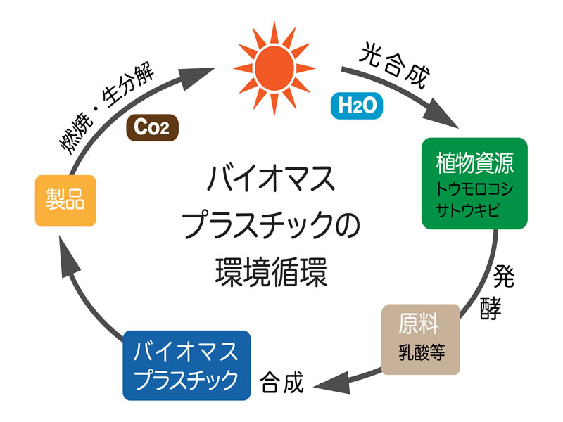 環境にやさしい、バイオプラスチックとは?|ブログ一覧|球体の 環境にやさしい、バイオプラスチックとは?|ブログ一覧|球体の