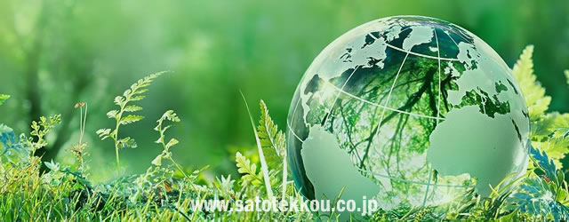 green-tree-3.jpg