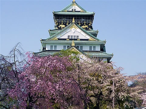 桜満開-vol.2