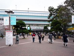 New甲子園＋金本劇場