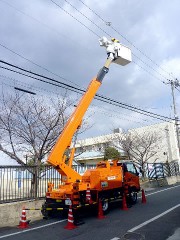 電線に凧が…