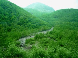 高山～上高地の贅沢旅行・№3