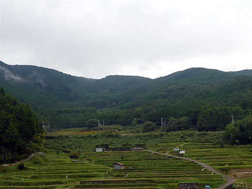 曽爾高原